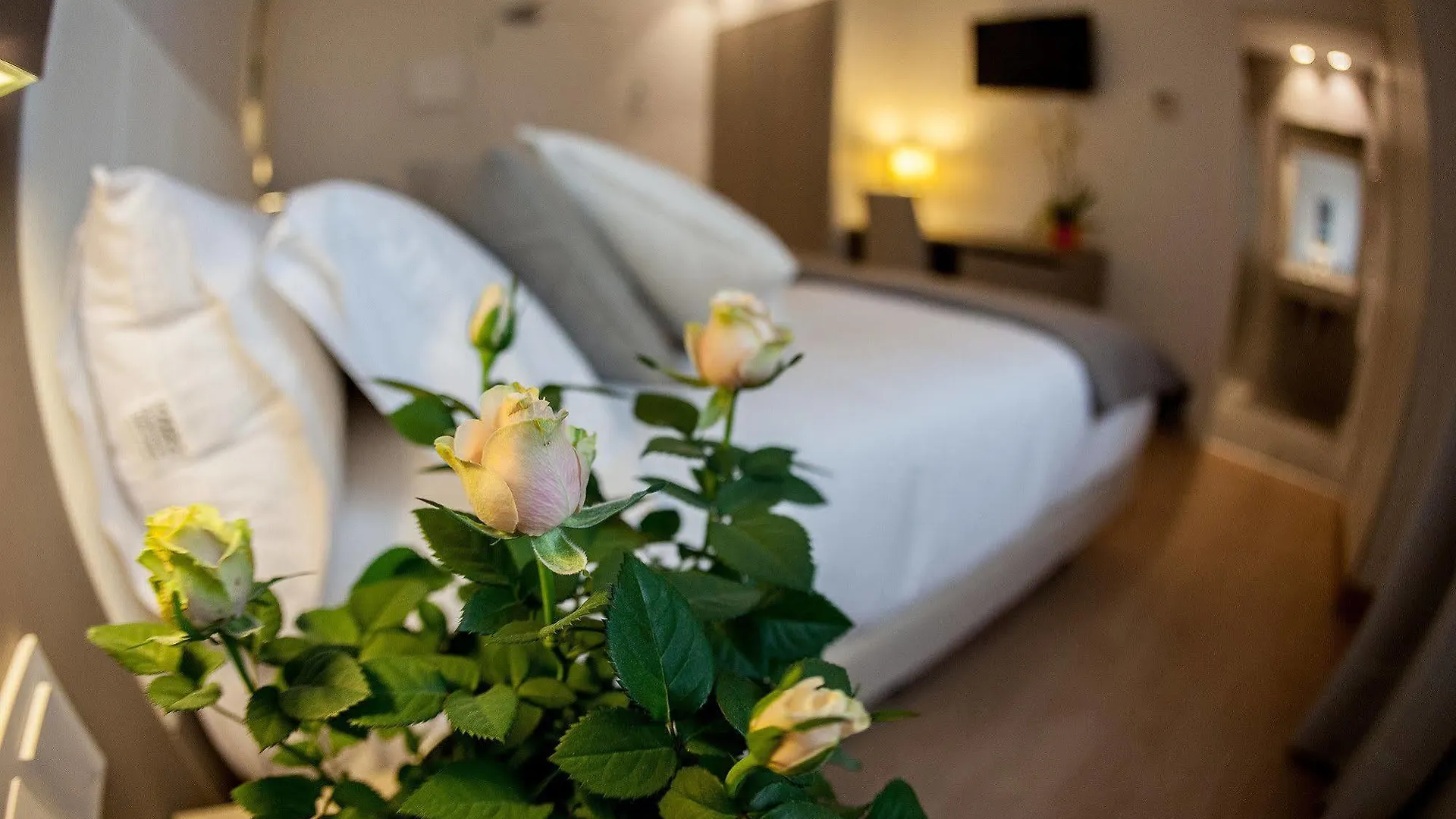 Colectia Hotel Urumea San Sebastian 2*,